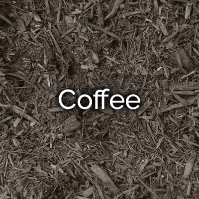 Coffee Mulch